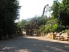 Animal Kingdom 004.jpg
