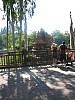Animal Kingdom 010.jpg
