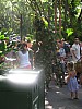 Animal Kingdom 016.jpg