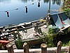 Animal Kingdom 026.jpg