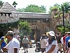 Animal Kingdom 048.jpg