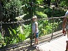 Animal Kingdom 079.jpg