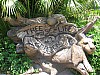 Animal Kingdom 099.jpg