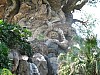 Animal Kingdom 122.jpg