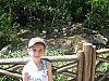 Animal Kingdom 134.jpg
