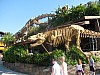 Animal Kingdom 154.jpg