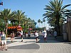 Animal Kingdom 166.jpg