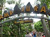 Universal Studios 170.jpg Universal Studios 170.jpg