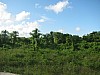 Dominican Republic 037.jpg Dominican Republic 037.jpg