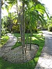 Dominican Republic 270.jpg Dominican Republic 270.jpg