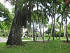 Dominican Republic 347.jpg Dominican Republic 347.jpg