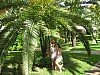 Dominican Republic 359.jpg Dominican Republic 359.jpg