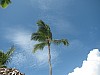 Dominican Republic 405.jpg Dominican Republic 405.jpg