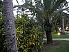 Dominican Republic 479.jpg Dominican Republic 479.jpg